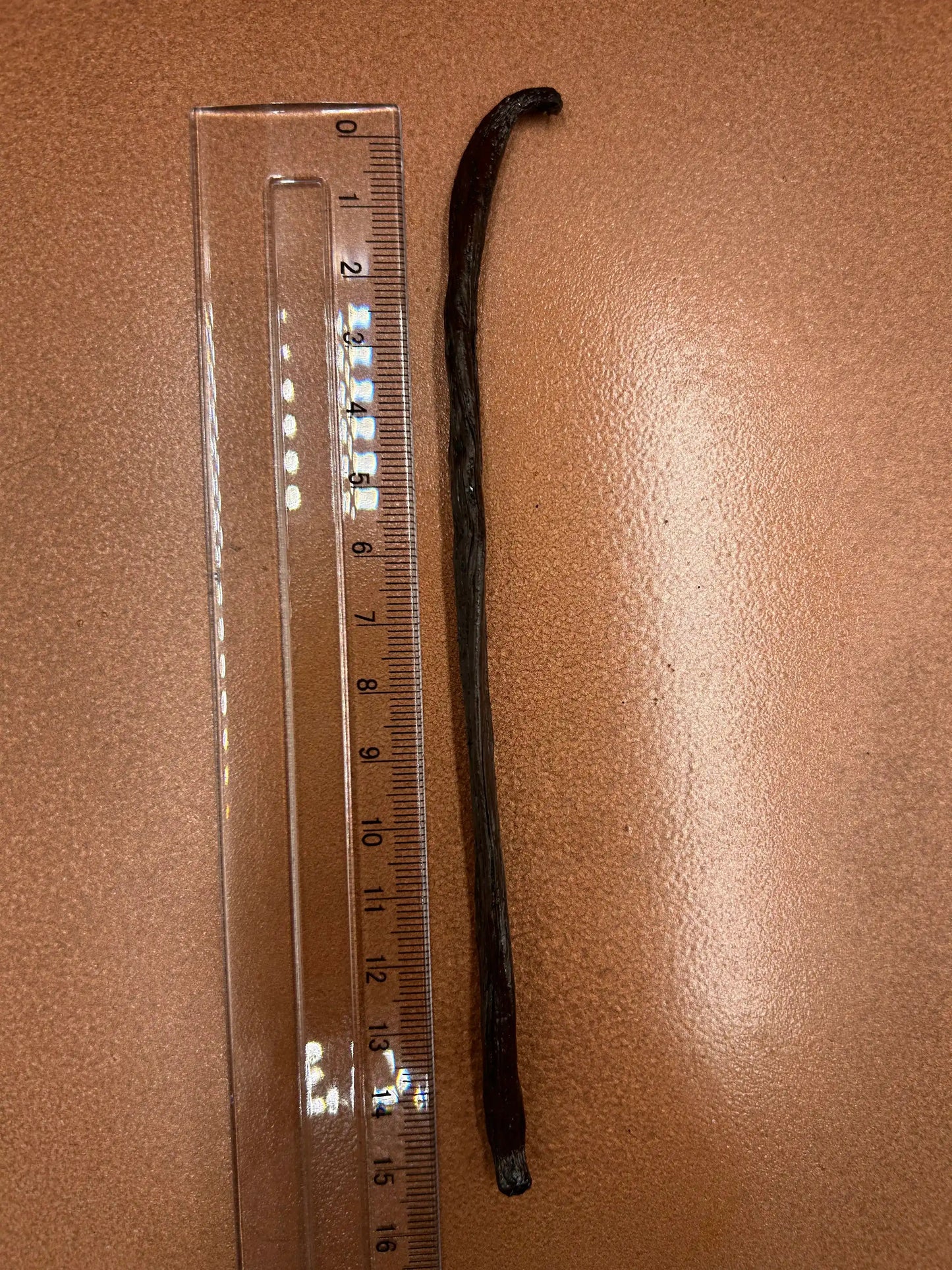 Vanille Bourbon Madagascar 18-19 cm - 22 gousses