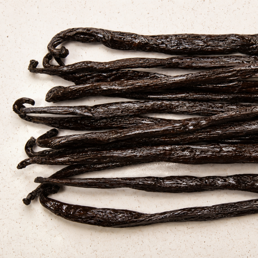 Atelier Évin — Madagascar Bourbon Vanilla 14–18 cm - Grade A/A+