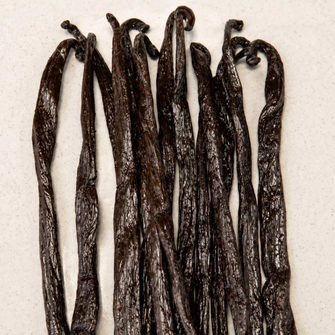 Atelier Évin — Bourbon vanilija Madagaskar 18–19 cm