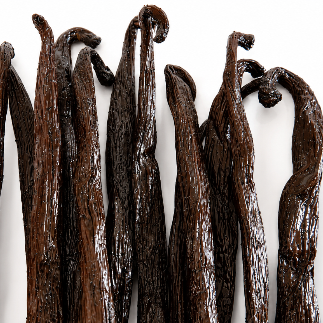 Atelier Évin — Bourbon vanilija Madagaskar 16–17 cm