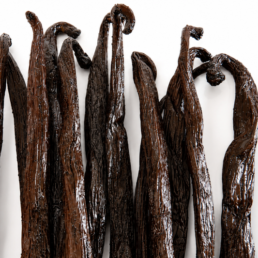 Atelier Évin — Bourbon vanilija Madagaskar 16–17 cm