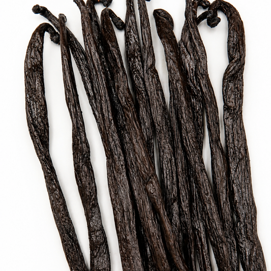 Atelier Évin — Bourbon vanilija Madagaskar 14–15 cm