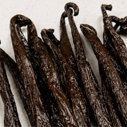 Atelier Évin — Madagascar Bourbon Vanilla 18-19 cm