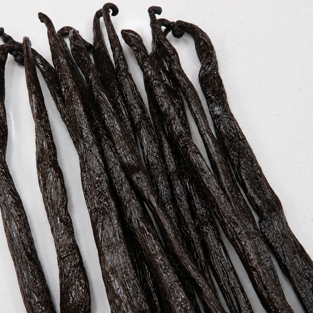 Atelier Évin — Bourbon vanilija Madagaskar 16–17 cm
