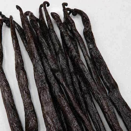 Atelier Évin — Bourbon vanilija Madagaskar 16–17 cm