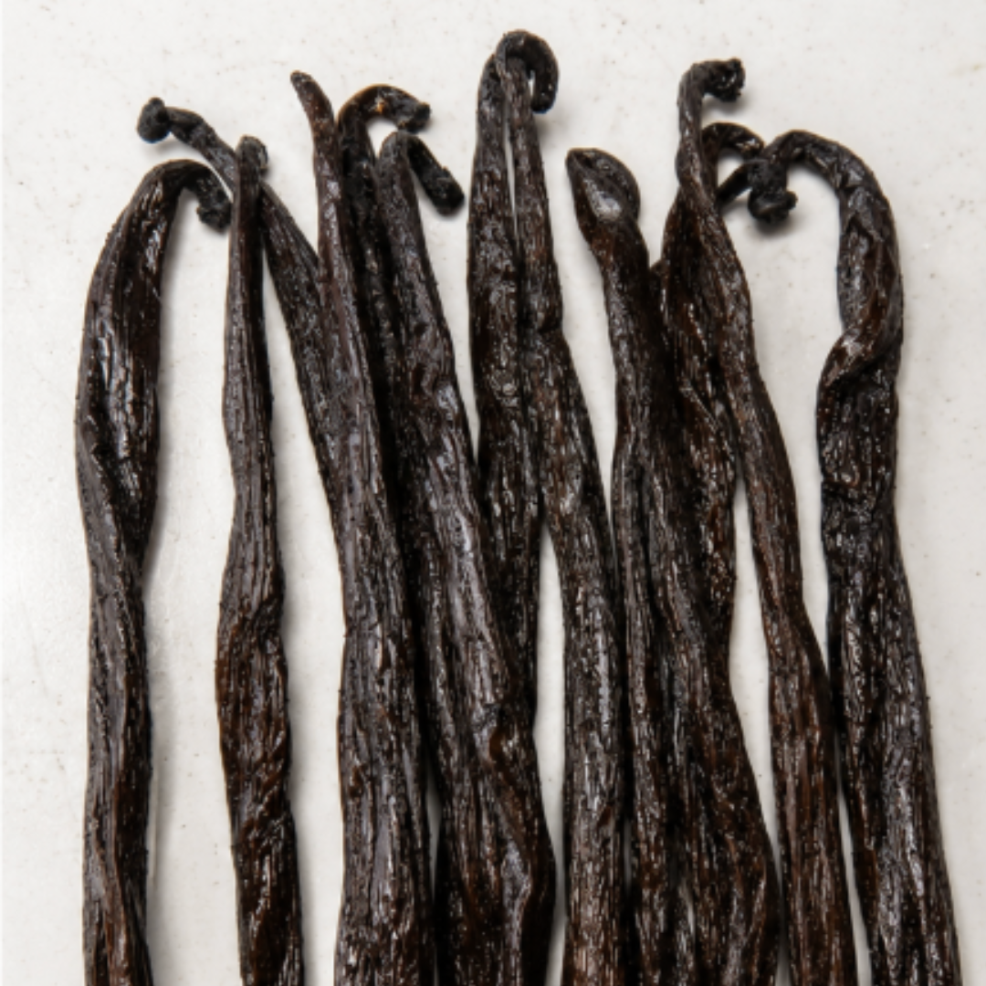 Atelier Évin — Bourbon vanilija Madagaskar 19 cm kalibrirana