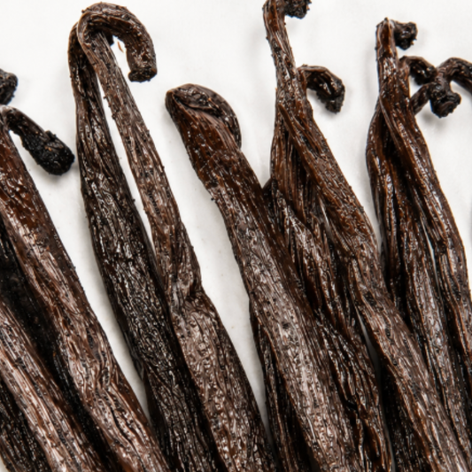 Atelier Évin — Bourbon vanilija Madagaskar 14–15 cm