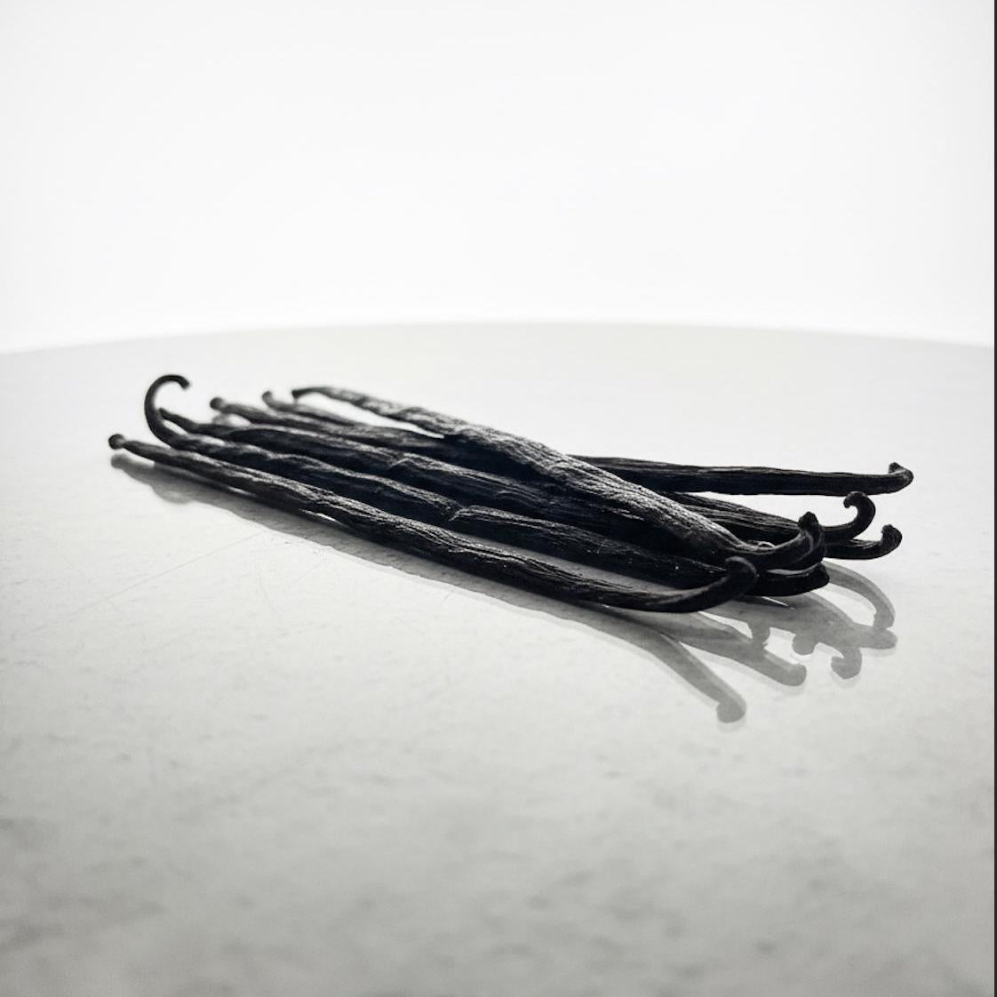 Gousse de vanille Bourbon Atelier Évin, brillante et souple, originaire de Madagascar