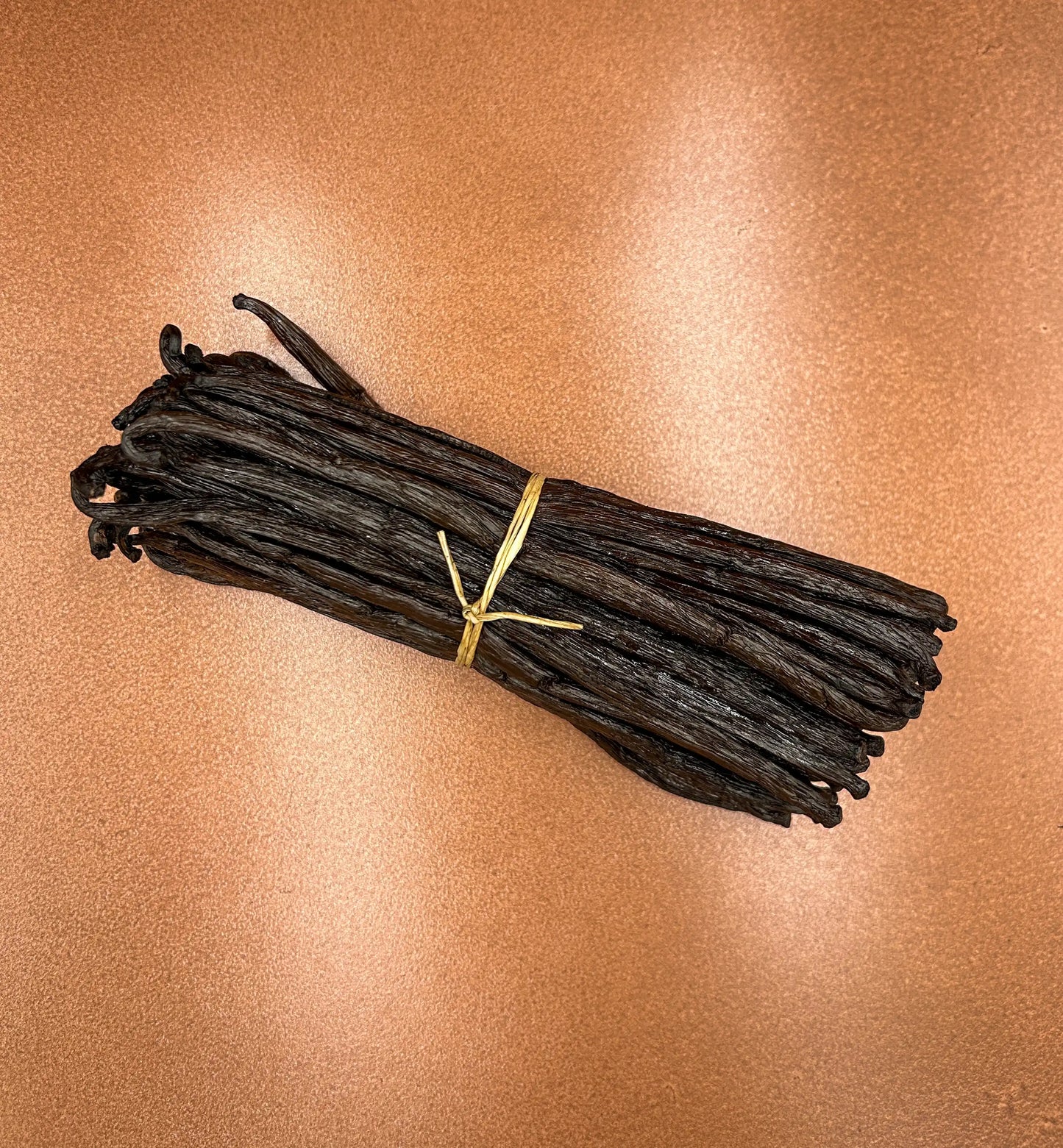 Atelier Évin — Madagascar Bourbon Vanilla 18-19 cm