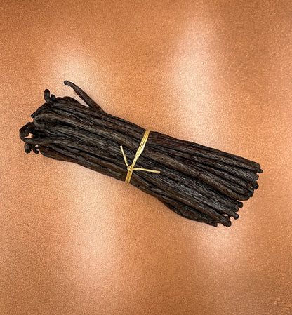 Atelier Évin — Madagascar Bourbon Vanilla 18-19 cm