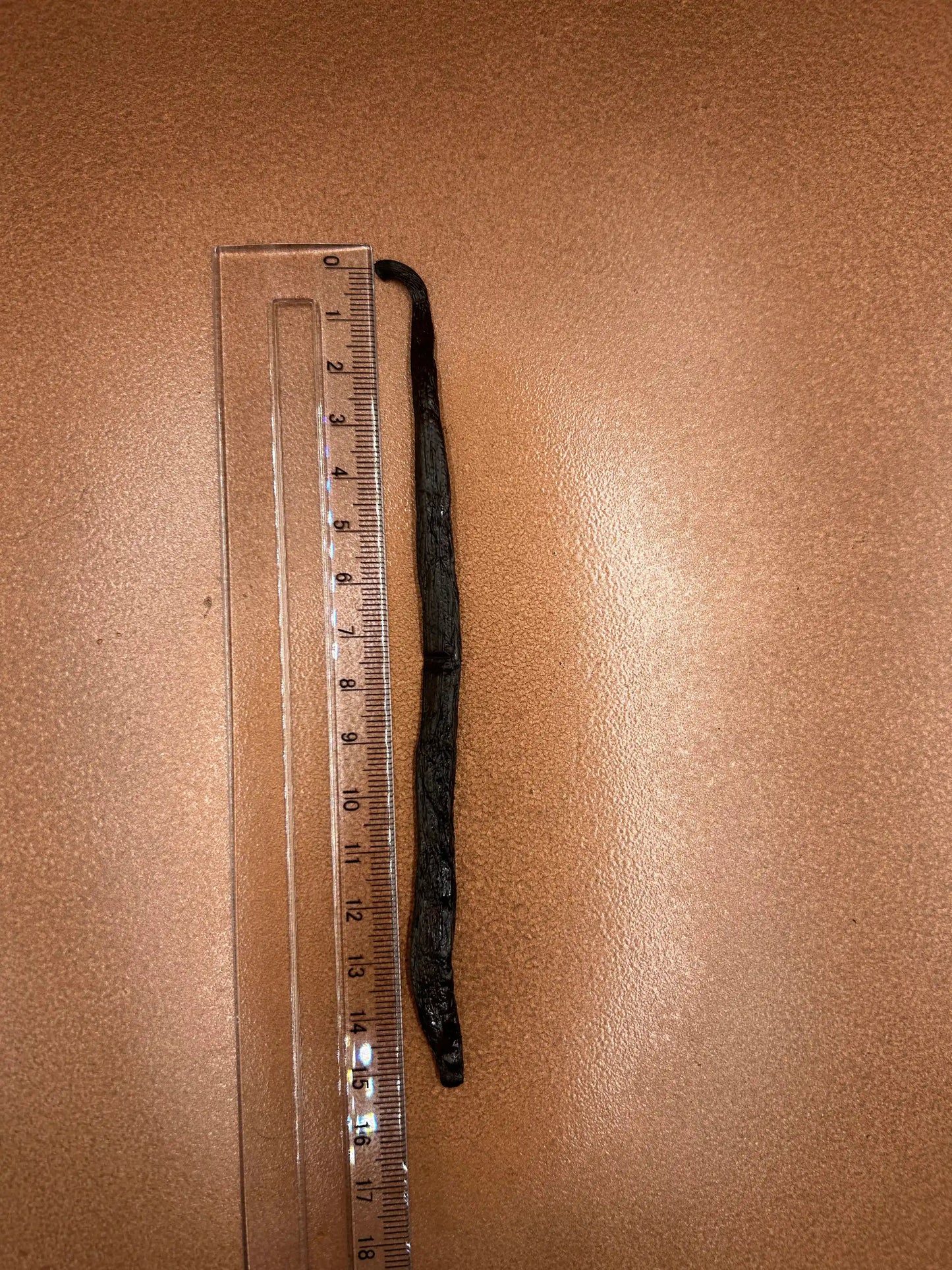 Vanille Bourbon Madagascar 18-19 cm - 11 gousses